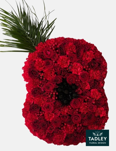 Poppy Tribute 2D