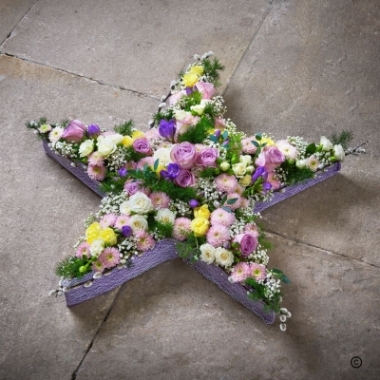 Shining Star Tribute